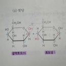 1권 37쪽 이당류 이미지