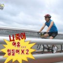 자전거 | 퀄리스포츠 엑스트론 프로 미니 맥스 전기자전거 구매후기 '으니전동놀이터'