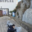 아야진약국 이미지