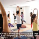 국제요가