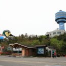 (유)신일고속관광 이미지