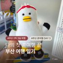 동구선거관리위원회 앞 횡단보도 | 부산 2박 3일 여행 3일차 마지막날 동선과 여자 혼자하는 첫 혼여행 대성공후기와 추천
