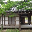 창녕 팔락정 이미지