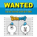 파파독 이미지