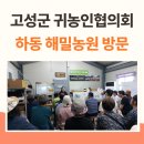 해밀목장 네이버블로그
