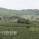 유전2리 이미지