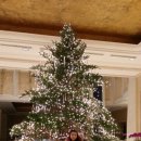 이어도식당 이미지