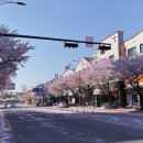 경기도 수원시 영통구 매탄로204 이미지