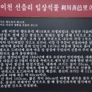 선읍리입상석불 이미지