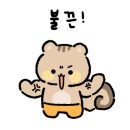 더블에스플라이 이미지