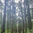 상효동-6 네이버블로그