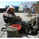 금갑마을 이미지