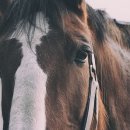 퐁당골프존 이미지