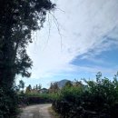 대정 골드빌라스 풀빌라 대가족숙소 이미지