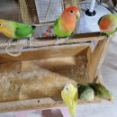 인천조류원 이미지