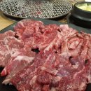 화끈한갈매기 이미지