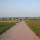 낙동강자전거길7 이미지