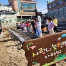 능서초등학교 이미지