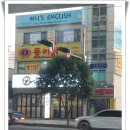 동키닭 이미지
