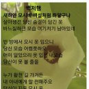 228-2-000104 | 조선후기 명재상 채제공선생묘
