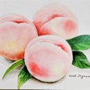 원주 프리미엄 아울렛(3층) 이미지