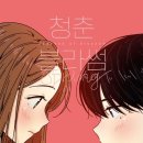 블라썸미디어