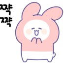 핑거킷킷 이미지