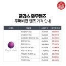 코알라(와우렌즈-글라스콕렌즈콕) | 쿠퍼비전 클래리티 이건 진짜 내인생 렌즈