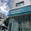 시계박사 엔젤수족관 | [광교미용실 추천] 지브리 감성 위스퍼그로브🌿 클리닉받으며 찐힐링한 리얼 후기