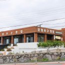 켄싱턴리조트 서귀포 근처 맛집 현지인이 추천하는 강정포구 횟집 참돔세트 후기
