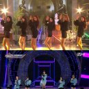 소나무주 이미지