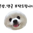 반자주 일광신도시점 이미지