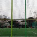 마루공원 축구장_2 네이버블로그
