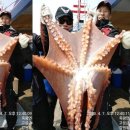낚시마트 - 파주시 장승배기로 290 | 낚시마트