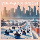 2025년 양주 눈썰매장 기본정보 겨울 아이와 가볼만한 눈꽃축제