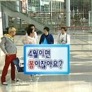 석촌역(7번출구 뒤) | 벚꽃 피는 속도로 먹으러 다니면서 4월 맞이하기