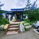 [양주수영장있는이디야카페] 양주아이와가기좋은곳♡ 내돈내산 수영장과 함께하는 이디야커피숍!!