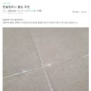 부산 드파인센텀 입주필수품목 줄눈시공 퍼플렉스줄눈 한솔컴퍼니