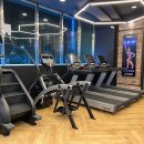 브라운 휘트니스 이미지