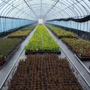 블루엔젤 하우스 이미지