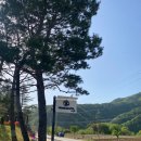 부흥카인테리어 | [홍천 카페] 애견운동장이 있고 , 4계절의 감성과 자연을 느끼며 힐링할 수 있는 카페 &#39;위켄드74&#39;
