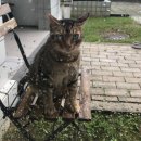 수다친카페 이미지