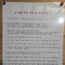 청춘 별을 쏘다 이미지
