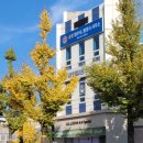 솔향 행정사 사무소 이미지