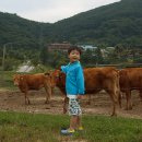 도현목장 이미지