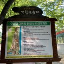 수승대관광지 야영데크 이미지