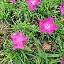 선형2농장 이미지