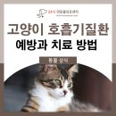 24시연동물의료센터 이미지