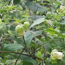 동향농장 이미지