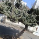 동천 수변공원 이미지